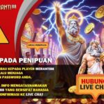 Login Habanero XL: Cara Mudah Masuk ke Platform Habanero XL